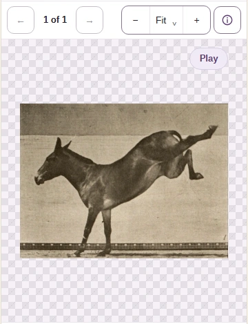The saved WebP in Image Viewer, with a Play button.