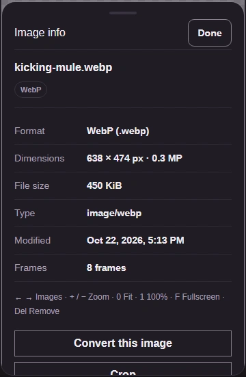Image info for the saved WebP, listing its format, dimensions, size and frames.
