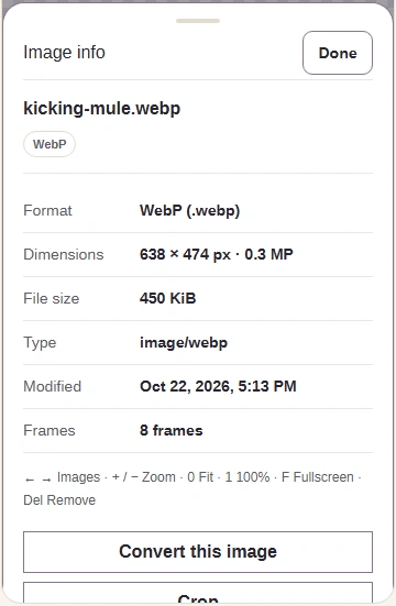 Image info for the saved WebP, listing its format, dimensions, size and frames.