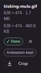 The finished WebP with its size, an Animation kept label and Download.