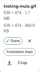 The finished WebP with its size, an Animation kept label and Download.