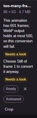 A GIF with too many frames, with a warning that the conversion will fail.