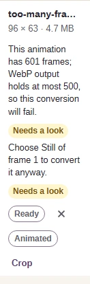 A GIF with too many frames, with a warning that the conversion will fail.