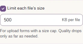 Limit each file's size turned on in the converter settings.
