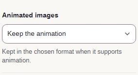 Animated images set to Keep the animation in Image Space Saver.