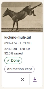 The finished copy at 320 by 238 pixels with Animation kept and a download button.