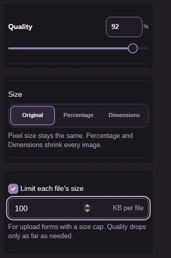 Quality 92, Size Original, and a checked file-size limit of 100 KB per file.