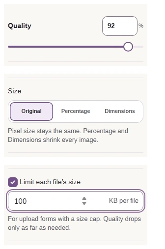 Quality 92, Size Original, and a checked file-size limit of 100 KB per file.