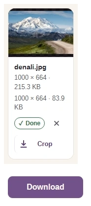 Completed AVIF photo preview, output size readout, and Download.