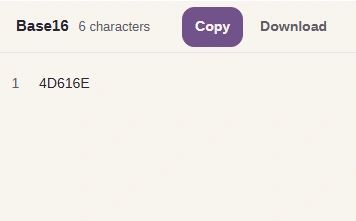 FluffyBench result 4D616E, Base16 label, character count, Copy and Download.
