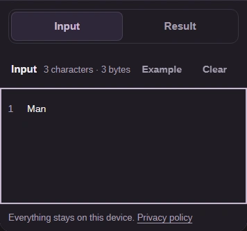 Phone Input view with Man and the Input and Result tabs.