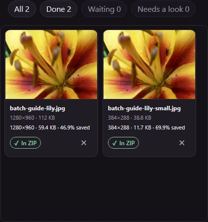 Completed Image Space Saver batch with Done 2, Needs a look 0 and two In ZIP results.