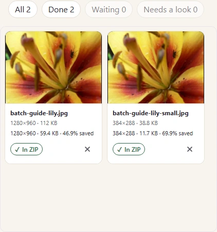 Completed Image Space Saver batch with Done 2, Needs a look 0 and two In ZIP results.