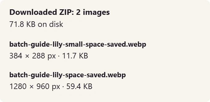 Actual listing of the downloaded illustrative ZIP: two WebP files with their dimensions and sizes.