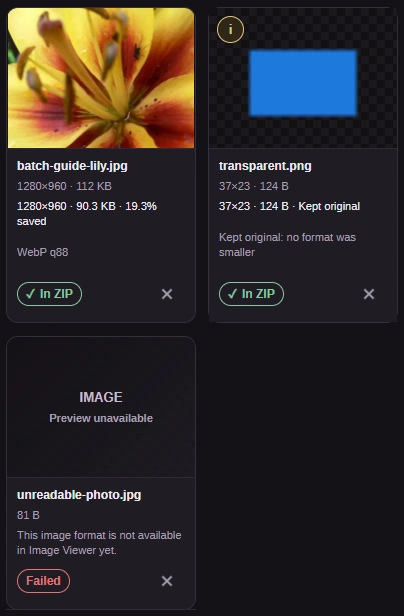 Three result-card crops: the flower photo marked In ZIP, a small transparent image with a warning, and an unreadable JPEG marked Failed.