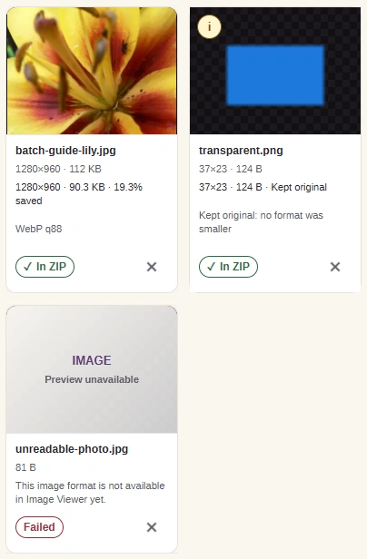 Three result-card crops: the flower photo marked In ZIP, a small transparent image with a warning, and an unreadable JPEG marked Failed.