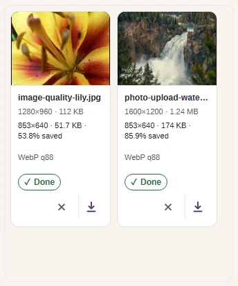 Check the finished dimensions and file size, then Download a copy.