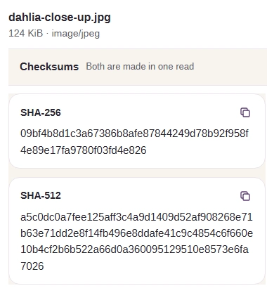 Workspace excerpts showing dahlia-close-up.jpg, Checksums, Both are made in one read, and its complete SHA-256 and SHA-512 results.