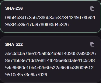 The matching SHA-256 row highlighted beside the separate SHA-512 result and their Copy buttons.