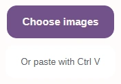 The Image Viewer's Choose images button, with the option to paste with Ctrl V below it.