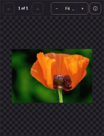 A poppy photo from a QOI file shown in the Image Viewer on a phone, with the Image info button in the toolbar.