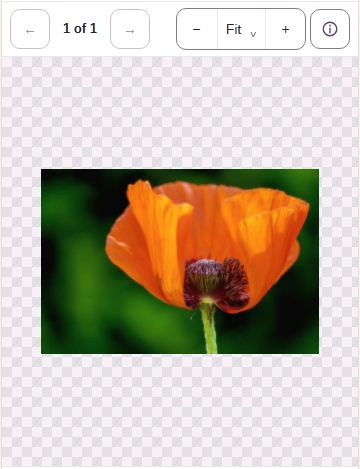 A poppy photo from a QOI file shown in the Image Viewer on a phone, with the Image info button in the toolbar.