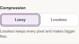 Compression set to Lossy, with Lossless beside it.