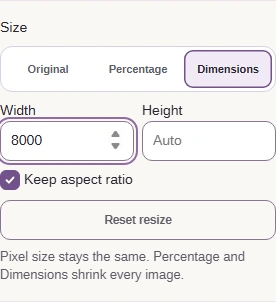 Size set to Dimensions, Width 8000, Height on Auto, Keep aspect ratio checked.