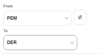 For PEM text to binary DER, choose From PEM and To DER.