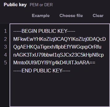 Paste a PUBLIC KEY PEM block or try Example.