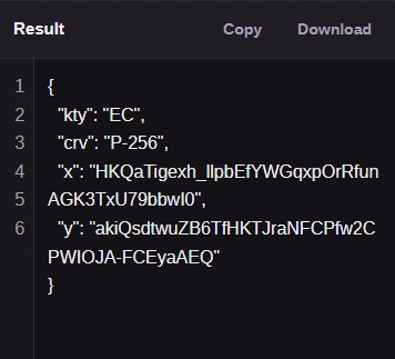 Copy copies the JSON text. Download saves public-key.jwk.