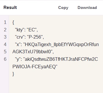 Copy copies the JSON text. Download saves public-key.jwk.