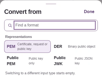 Choose Public JWK from the input formats.