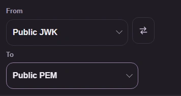 Public JWK pairs with Public PEM. A different input type starts empty.