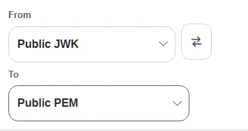 Public JWK pairs with Public PEM. A different input type starts empty.