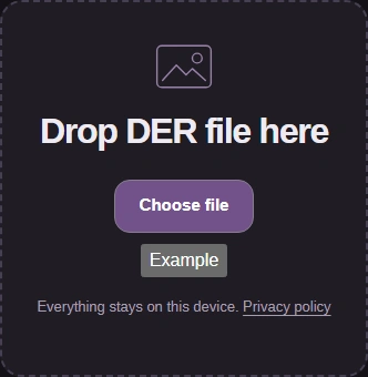 DER input with Choose file and Example.