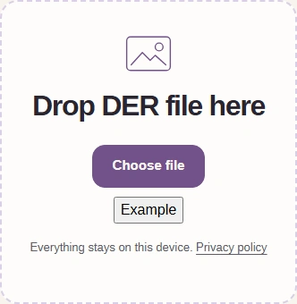 DER input with Choose file and Example.