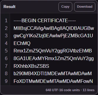 Choose file accepts one DER file; Example loads a sample. The PEM result offers Copy and Download.