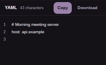 Formatted YAML retains the Morning meeting server comment and the host setting.