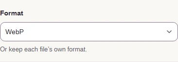 Format set to WebP.