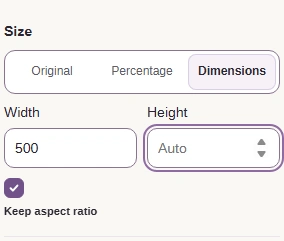 Set the width to 500 pixels and let the height follow.