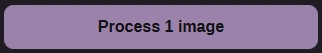 Process the image with your chosen size.