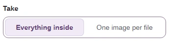 The Take control with Everything inside selected and One image per file beside it.