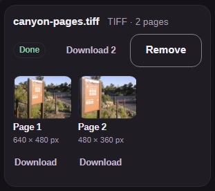 The finished TIFF card: the file reads TIFF, 2 pages, with a Download 2 button and a tile for each page with its size and its own Download link.