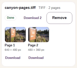 The finished TIFF card: the file reads TIFF, 2 pages, with a Download 2 button and a tile for each page with its size and its own Download link.