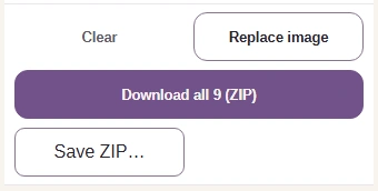 The Download all 9 (ZIP) button above the finished icon set.