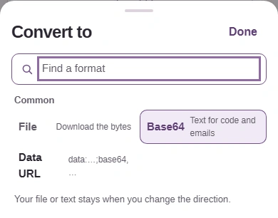 Choose Data URL for a labeled string, or Base64 for the payload by itself. Choosing an option closes the picker.