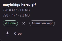 Completed GIF output row below the source, with dimensions and file size.