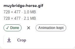 Completed GIF output row below the source, with dimensions and file size.