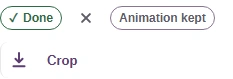 Completed GIF with its Download icon and Animation kept label.